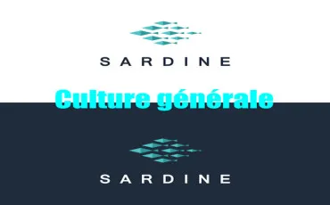 Quiz Culture générale