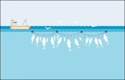 Quel est le nom de ce type de p&ecirc;che qui consiste &agrave; d&eacute;ployeren mer une longue ligne &eacute;quip&eacute;e de 1 400 &agrave; 2 200hame&ccedil;ons app&acirc;t&eacute;s avec de la sardine ?
