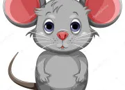 Quiz Vrai/faux sur le rat brun