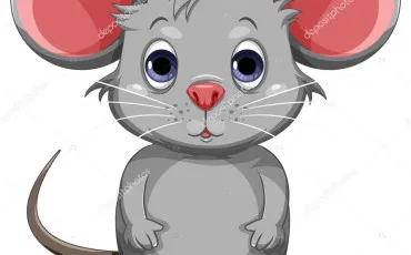 Quiz Culture g�n�rale