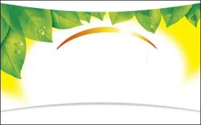 Quel est ce logo ?