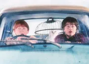 Quiz R�veille le sorcier qui est en toi !