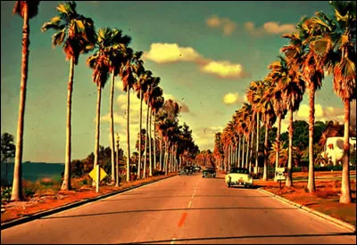 Quel groupe est le cr&eacute;ateur du titre "California Dreamin' " ?