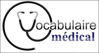 Comment appelle-t-on le fait d'&ecirc;tre chauve en terme m&eacute;dical ?