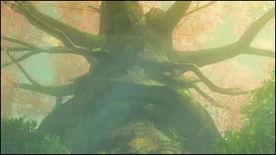 Dans quel(s) opus cet arbre appara&icirc;t-il ?