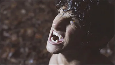 Qu'est-ce qui arrive &agrave; Scott pendant la nuit ?