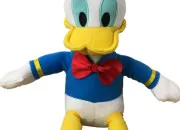 Quiz Les Donald