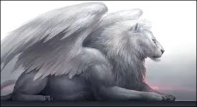 Le dodo est...