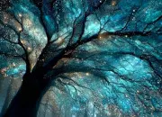 Test Quelle image fantasy auras-tu ?