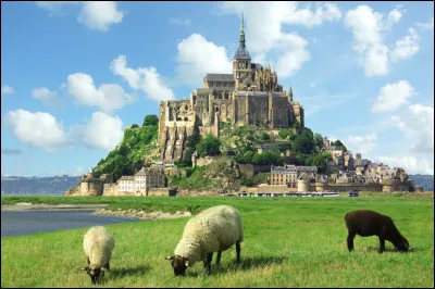 Quelle ville ne se situe pas en Normandie ?