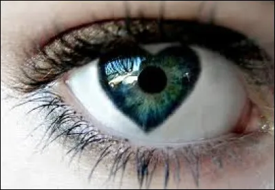 &Agrave; quelle fr&eacute;quence regardes-tu la personne par jour ?