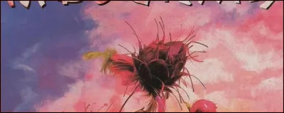 Sur leur album "3" figurent les chansons "Canary Bay", "Trois nuits par semaine" et "Tes yeux noirs". De quel groupe s'agit-il ?