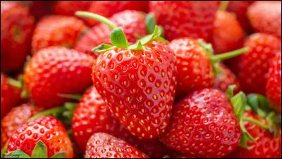 Quand d&eacute;bute vraiment la saison des fraises ?