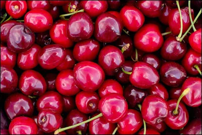 Quelle vari&eacute;t&eacute; de cerises se r&eacute;colte le plus t&ocirc;t dans l�ann&eacute;e ?