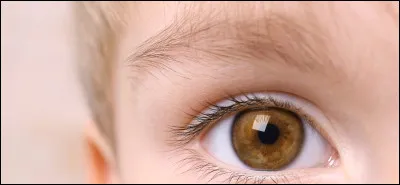 De quelle forme sont tes yeux ?