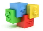 Quiz Les 5 sens du corps humain