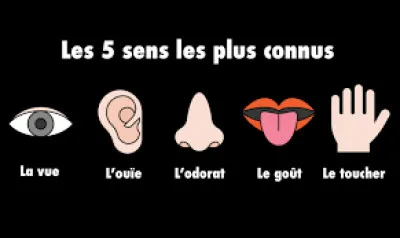 Quel sens est le plus directement li&eacute; &agrave; la m&eacute;moire &eacute;motionnelle ?