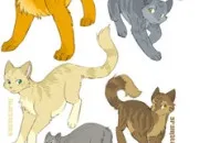 Quiz Les noms des chats du cycle 1 dans LGDC