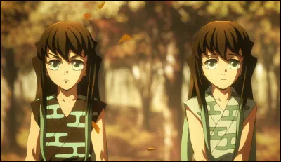 O&ugrave; est Muichiro dans cette image ? (Son fr&egrave;re jumeau est &agrave; cot&eacute; de lui)