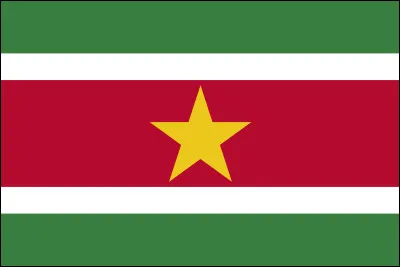 &Agrave; quel pays appartient ce drapeau ?
