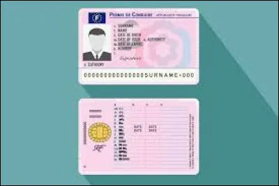 Combien y a-t-il de points sur le permis de conduire en France ?