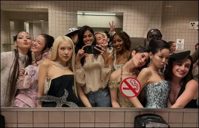 Quel &eacute;tait le th&egrave;me du d&eacute;fil&eacute; du Met Gala cette ann&eacute;e ?
