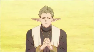 Qui est cet elfe qui se dit pr&ecirc;tre de la D&eacute;esse ?