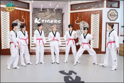 Quel membre faisait du taekwondo dans sa jeunesse ?