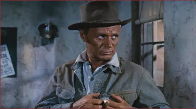 Restons un moment sur ce western intitul&eacute; "L'Homme aux colts d'or". En plus du pr&eacute;v&ocirc;t, nous y trouvons le personnage de Johnny Gannon, sh&eacute;rif suppl&eacute;ant. Par quel acteur est-il jou&eacute; ?