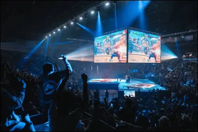 Quelle c&eacute;l&egrave;bre comp&eacute;tition de jeux de combat est organis&eacute;e chaque ann&eacute;e &agrave; Las Vegas ?