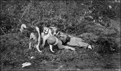 O&ugrave; se tenait une patrouille militaire dressant des chiens destin&eacute;s &agrave; secourir les soldats bless&eacute;s au front ? (1er conflit mondial)