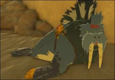 Voici Patricia, la Morse des Sables de Riju. Si on lui donne un fruit d'eau, elle nous donnera une localisation. La localisation de quoi ?