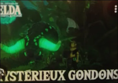 Qu'arrive-t-il lorsqu'on donne des gemmes nox &agrave; un Gondon ?