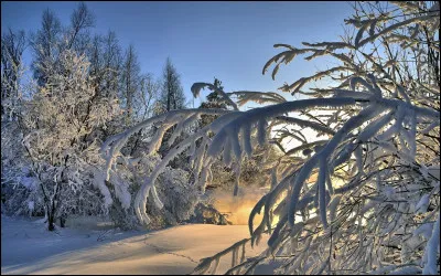 Qui sont les deux principaux interpr&egrave;tes du long-m&eacute;trage "Un singe en hiver" ?