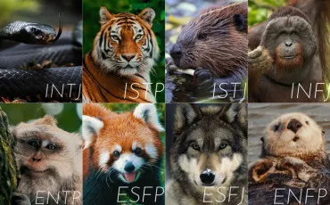 Quiz Test de personnalit�