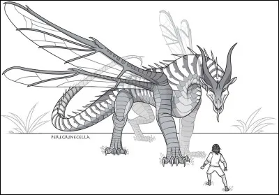 Veux-tu &ecirc;tre un dragon royal ou un dragon ordinaire ?