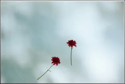 Quelle ambiance t'apaise le plus ?