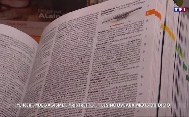 Quiz Vocabulaire