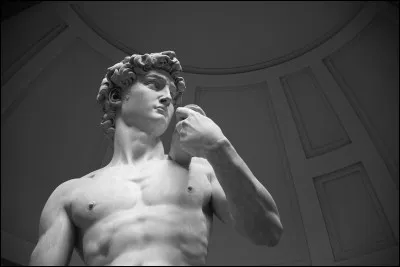 Quel artiste de la Renaissance a sculpt&eacute; le c&eacute;l&egrave;bre "David" en marbre expos&eacute; &agrave; Florence ?