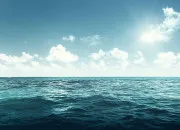 Quiz Quiz Nature � Les secrets de l�oc�an 🌊