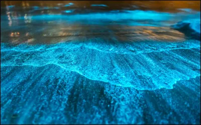 Quel ph&eacute;nom&egrave;ne lumineux observ&eacute; dans certaines mers est provoqu&eacute; par des micro-organismes capables d�&eacute;mettre de la lumi&egrave;re ?