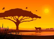 Quiz Quiz Nature - Les secrets de la savane 🐅