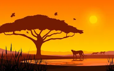 Quiz Animaux