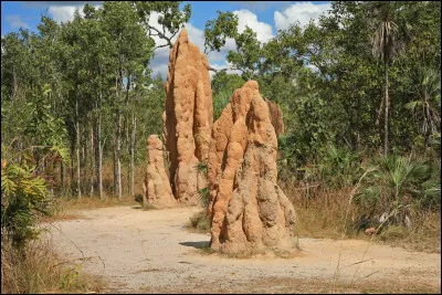 Quel animal utilise parfois des termiti&egrave;res abandonn&eacute;es comme refuge contre la chaleur de la savane ?