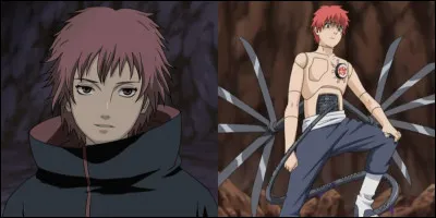 2007 : Dans "Naruto Shippuden", qui est l'assassin des parents de Sasori ?