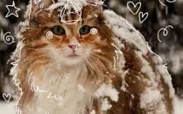 Quiz Test de personnalité