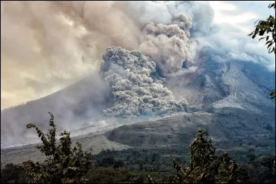 Comment appelle-t-on une avalanche br&ucirc;lante de gaz, cendres et blocs volcaniques d&eacute;valant les pentes &agrave; tr&egrave;s grande vitesse ?