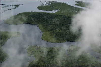 Quel ph&eacute;nom&egrave;ne atmosph&eacute;rique produit par l�Amazonie influence les pr&eacute;cipitations dans une grande partie de l�Am&eacute;rique du Sud ?