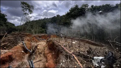 Quel est le principal danger &eacute;cologique li&eacute; &agrave; la d&eacute;forestation amazonienne ?