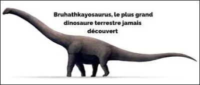 Quel animal terrestre a eu la vie la plus longue ?